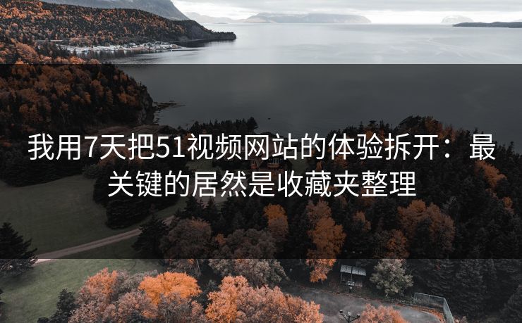 我用7天把51视频网站的体验拆开:最关键的居然是收藏夹整理