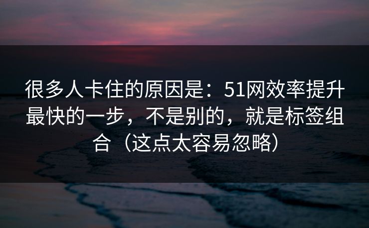 很多人卡住的原因是：51网效率提升最快的一步，不是别的，就是标签组合（这点太容易忽略）