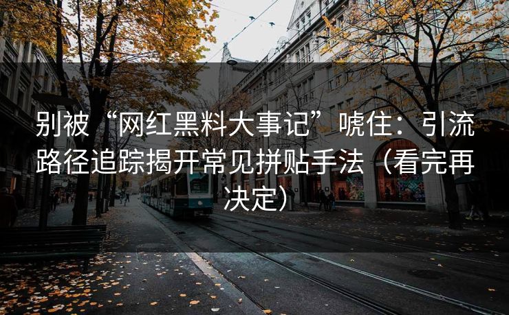 别被“网红黑料大事记”唬住：引流路径追踪揭开常见拼贴手法（看完再决定）