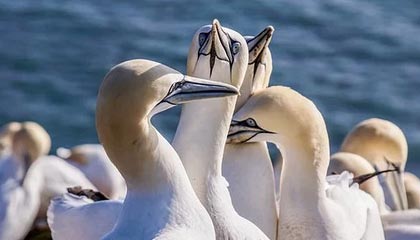 51爆料盘点：八卦3种类型，网红上榜理由罕见令人刷爆评论