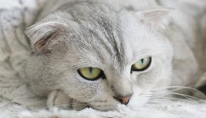 网红在深夜遭遇八卦 脸红,51爆料全网炸锅,详情围观,网红八卦微博最新八卦