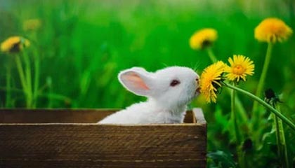 黑料科普:heiliaowang背后3大误区,黑料是真的还是假的