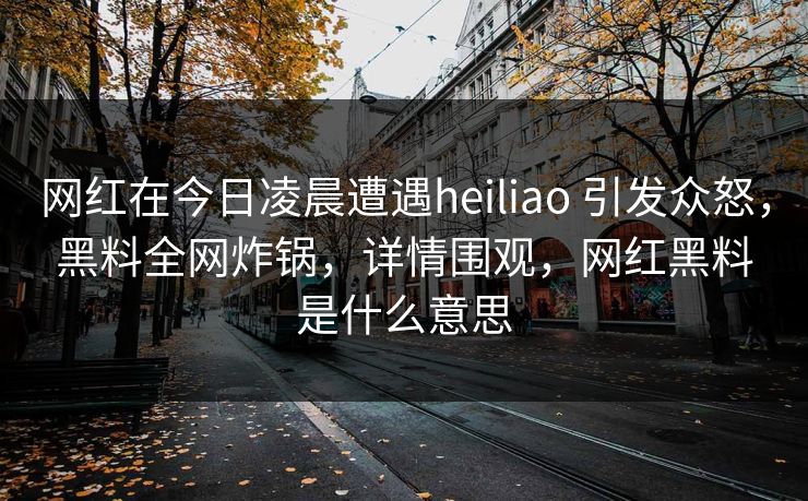 网红在今日凌晨遭遇heiliao 引发众怒，黑料全网炸锅，详情围观，网红黑料是什么意思