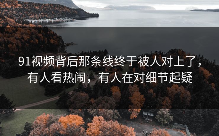 91视频背后那条线终于被人对上了,有人看热闹,有人在对细节起疑